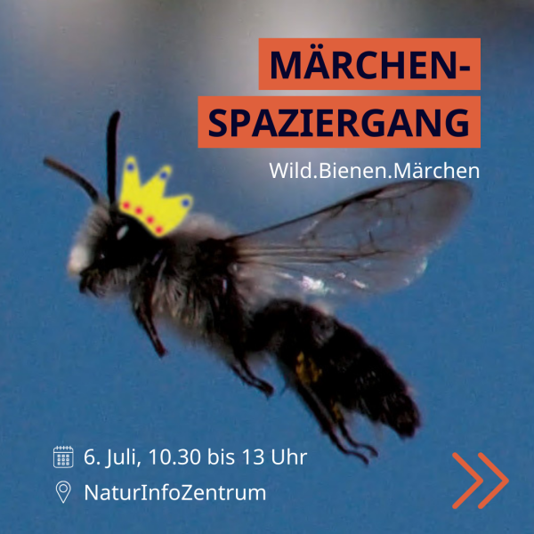 Wild-Bienen-Maerchen